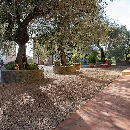 Il Pintello - La Lepre Alloggio per agriturismo