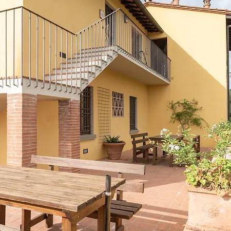 Il Pintello - La Lepre