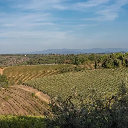 Il Pintello - La Lepre Farm stay San Casciano in Val di Pesa